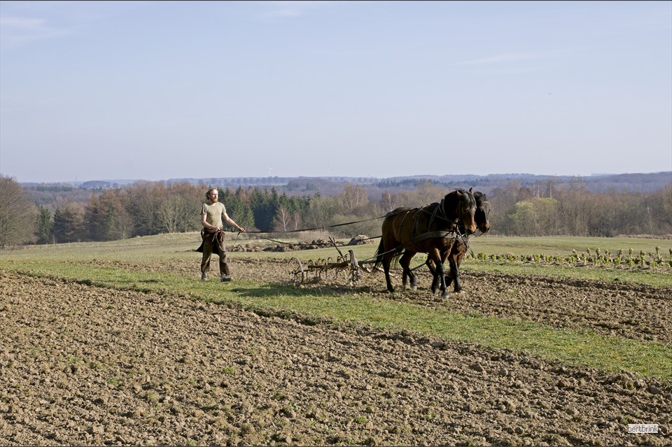 Um den Boden zu schonen, werden die Felder der Gärtnerei nicht mit schwerer Technik bearbeitet
