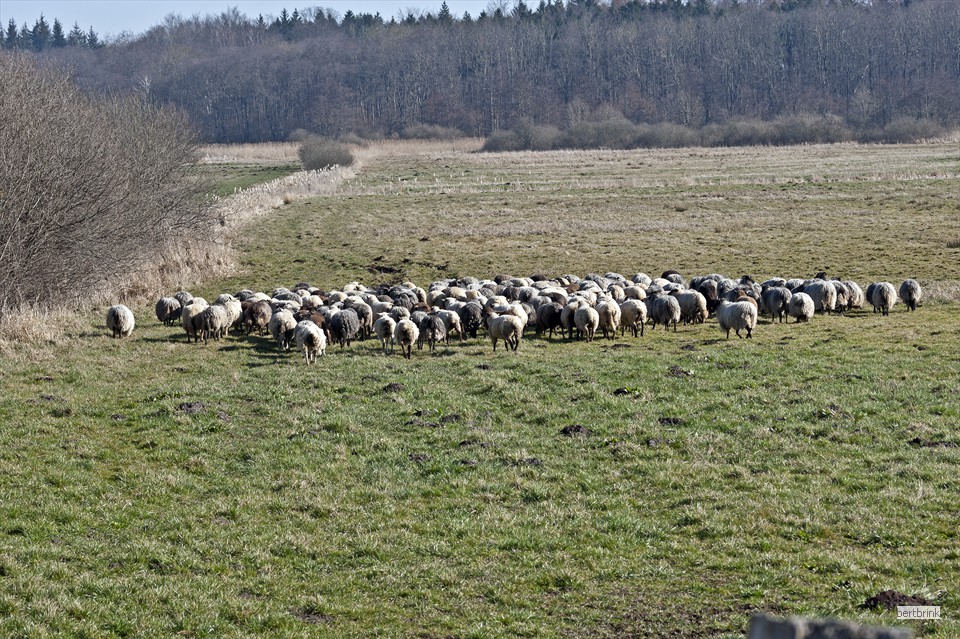 Auf der Warnow-Wiese angekommen