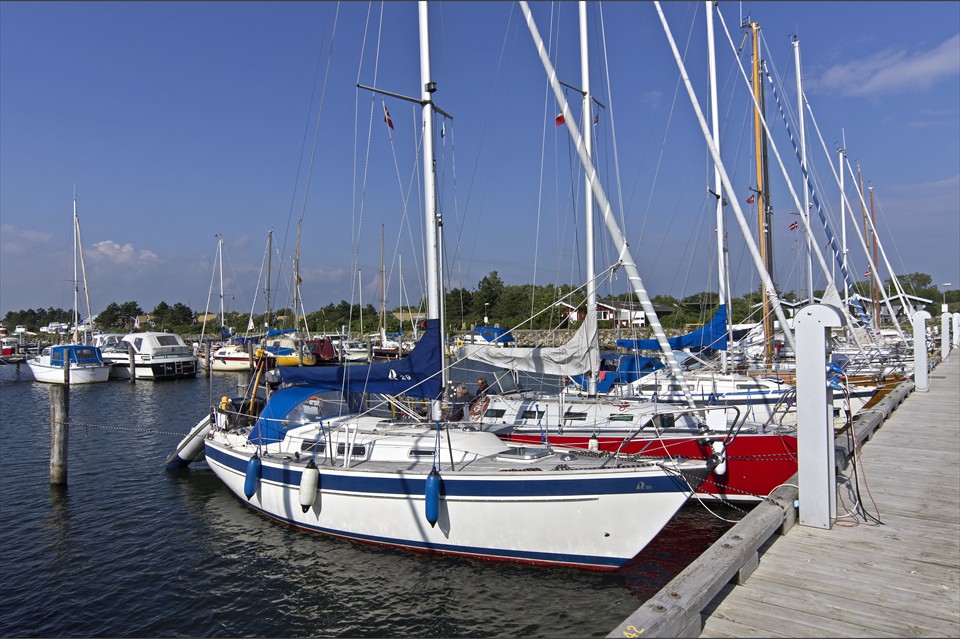 Tippi macht in jedem Hafen eine gute Figur