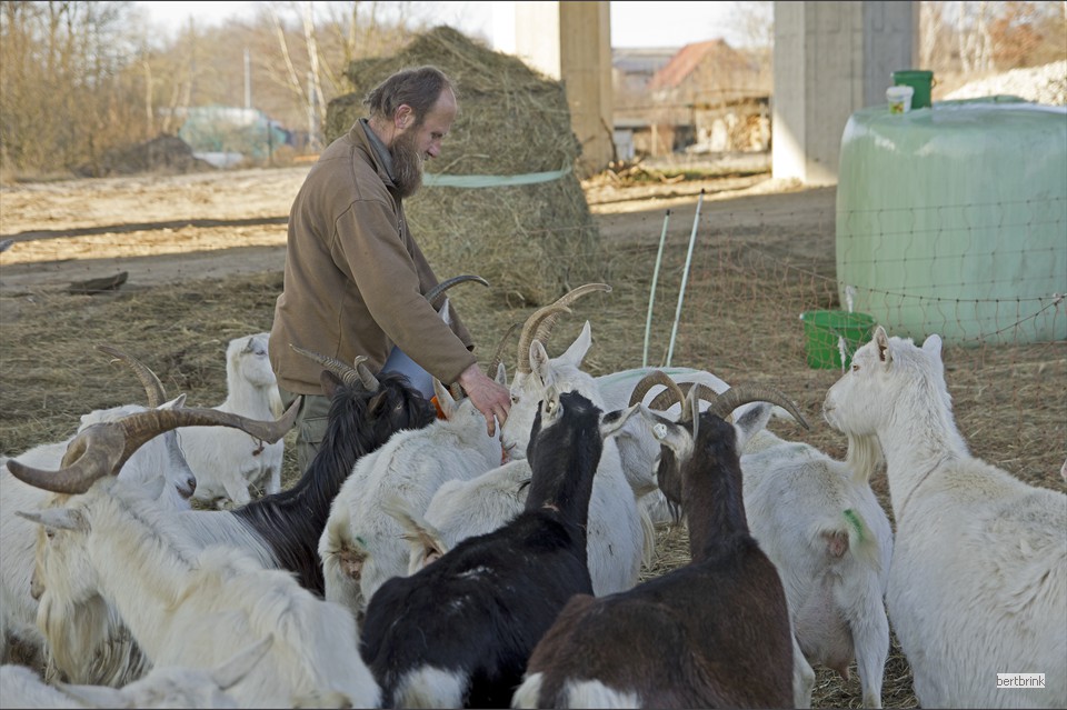 Danach gibt es einige Leckerli und Streicheleinheiten 